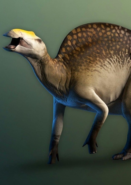Ouranosaurus photo
