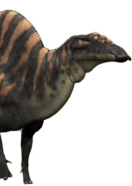 Ouranosaurus photo