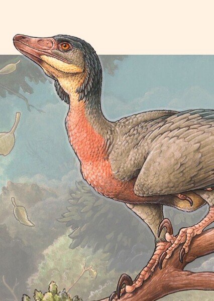 Overoraptor