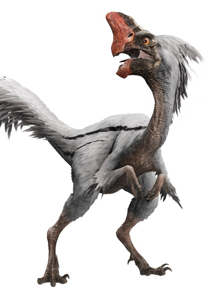 Oviraptor photo