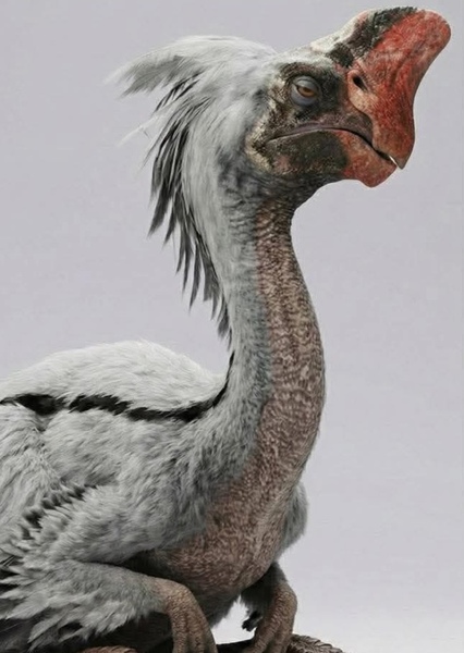 Oviraptor photo