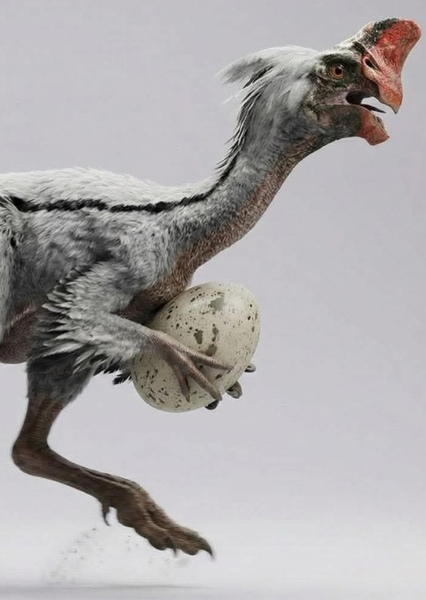 Oviraptor photo