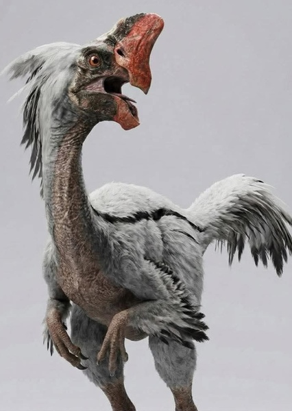 Oviraptor photo