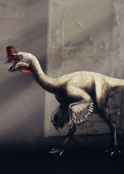 Oviraptor photo