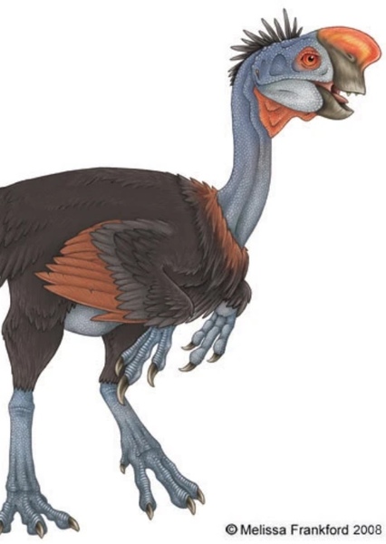 Oviraptor photo