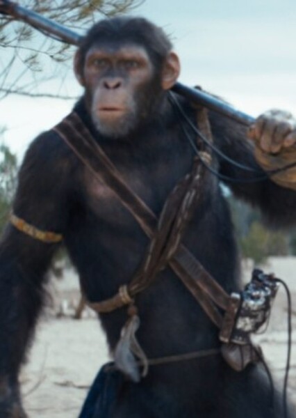 “The Gorilla”