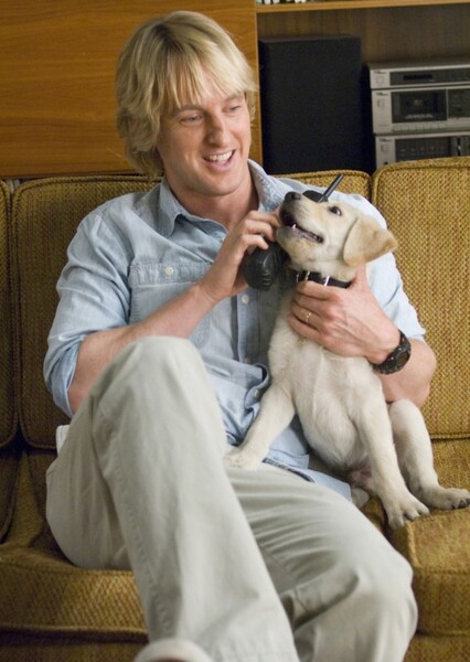 Owen Wilson