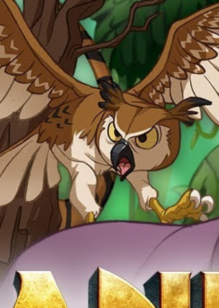 Owl (Bird) photo