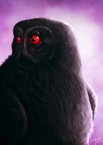 Owlman (Mythical Creature) photo
