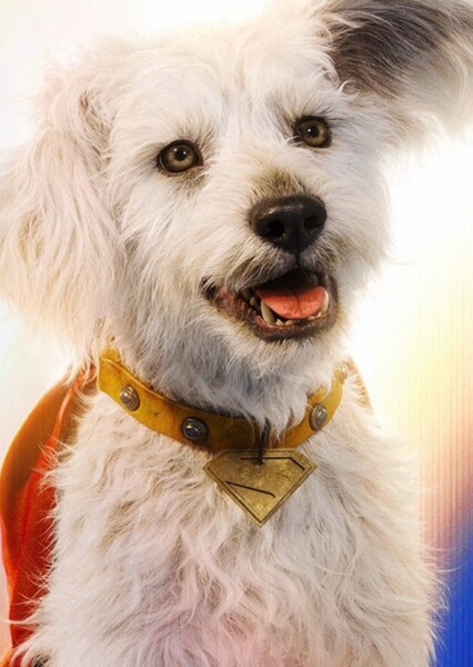 Krypto