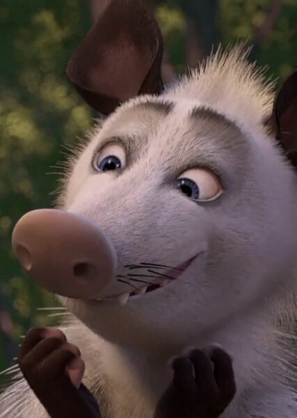 Ozzie (Over the Hedge)