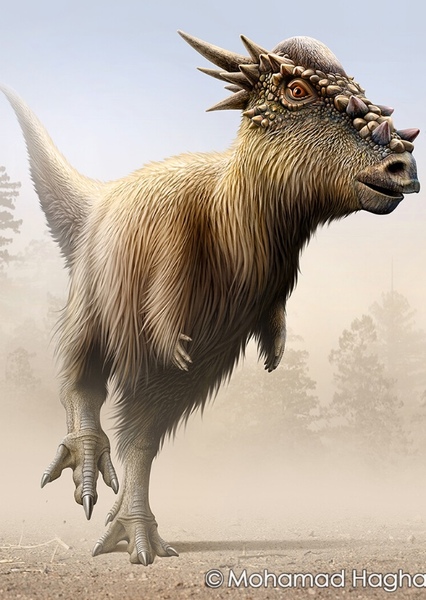 Pachycephalosaurus photo