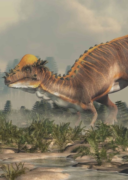 Pachycephalosaurus photo