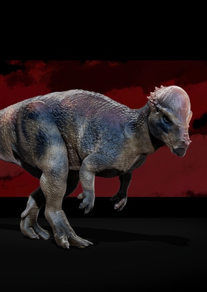 Pachycephalosaurus photo