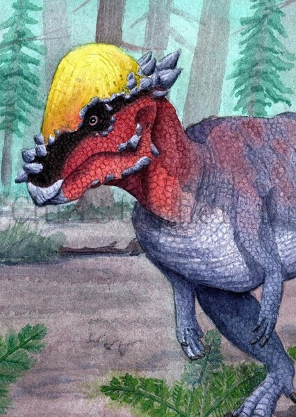Pachycephalosaurus photo
