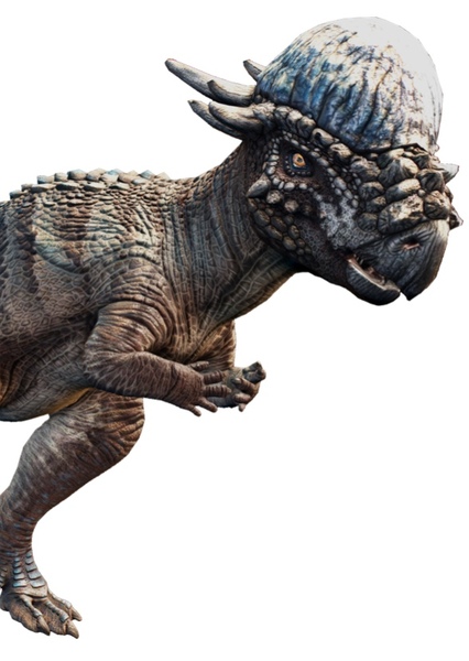 Pachycephalosaurus photo