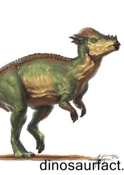 Pachycephalosaurus photo