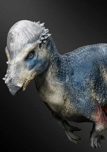 Pachycephalosaurus