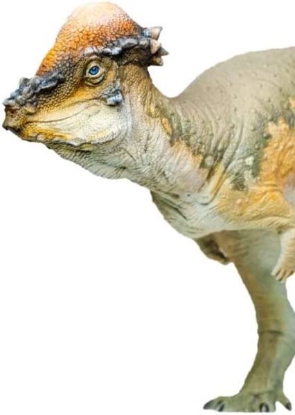 Pachycephalosaurus photo