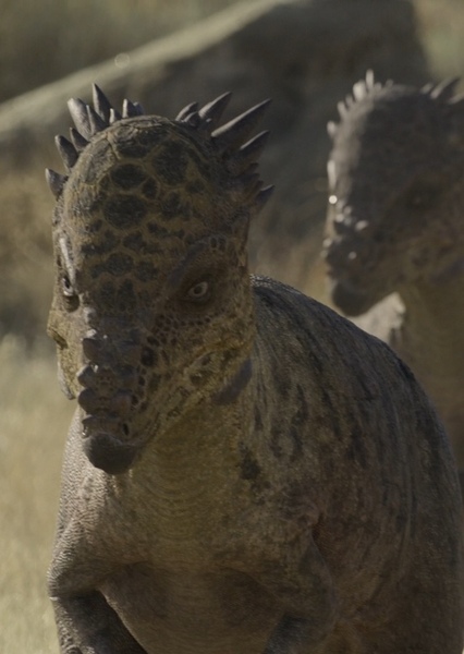 Pachycephalosaurus photo