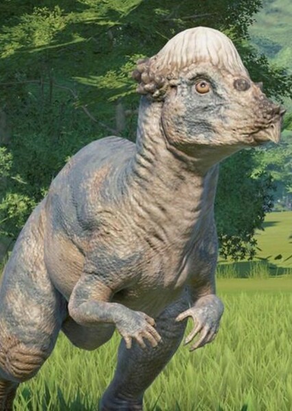 Pachycephalosaurus