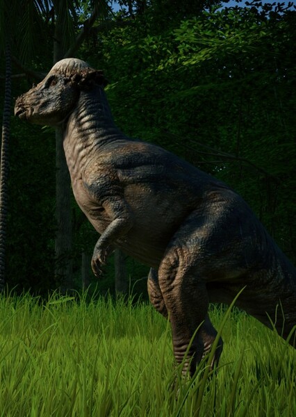 Pachycephalosaurus photo
