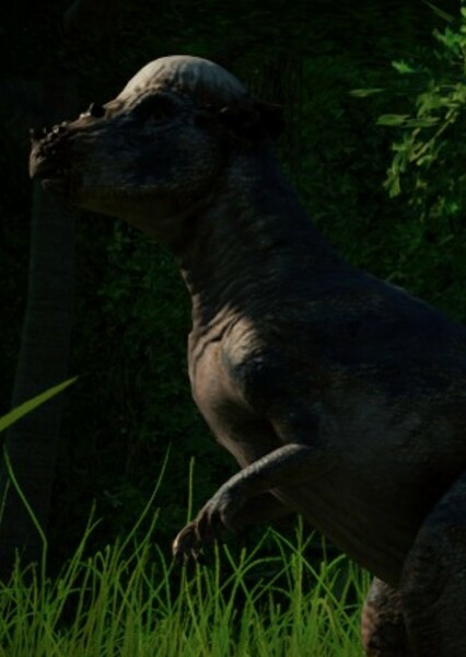 Pachycephalosaurus photo