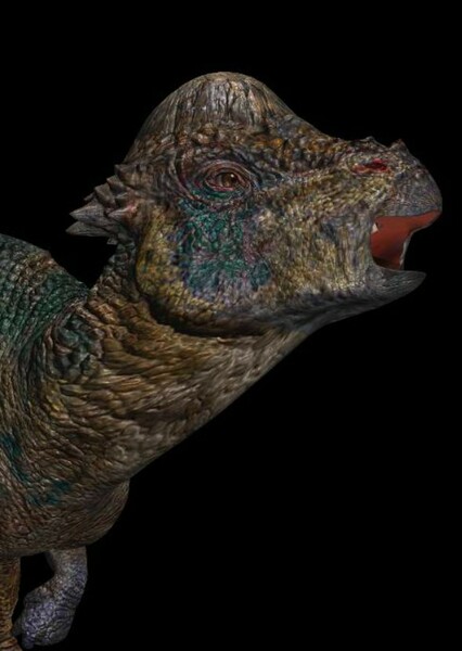 Pachycephalosaurus photo