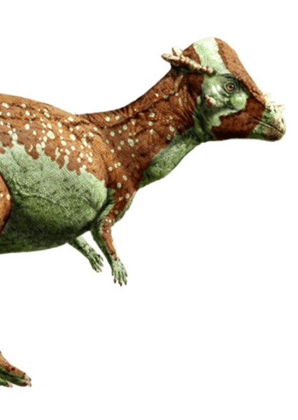 Pachycephalosaurus (Jurassic Park) photo