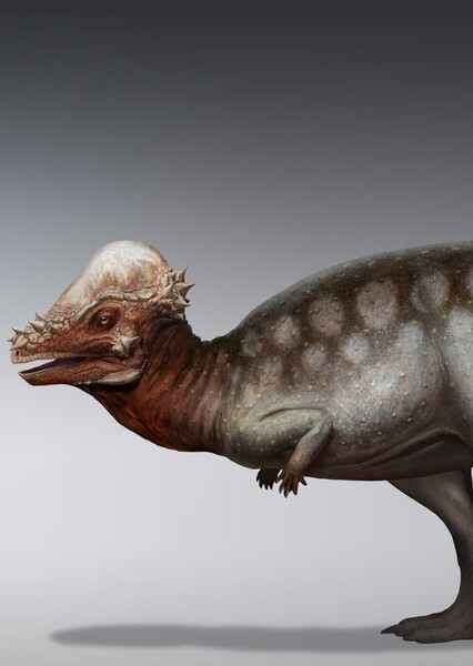 Pachycephalosaurus (Saurian)
