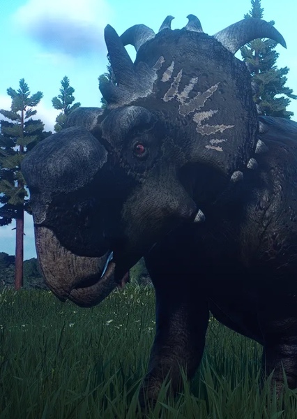 Pachyrhinosaurus photo