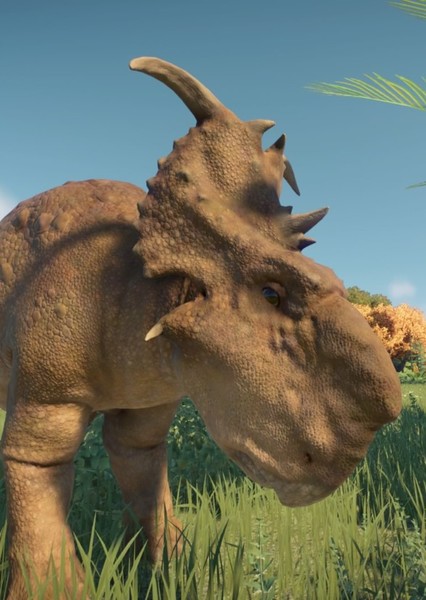 Pachyrhinosaurus