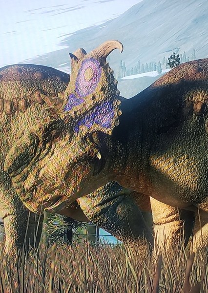 Pachyrhinosaurus photo