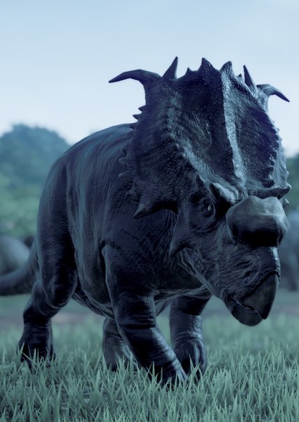 Pachyrhinosaurus photo