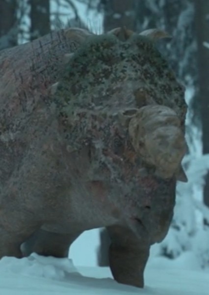 Pachyrhinosaurus photo