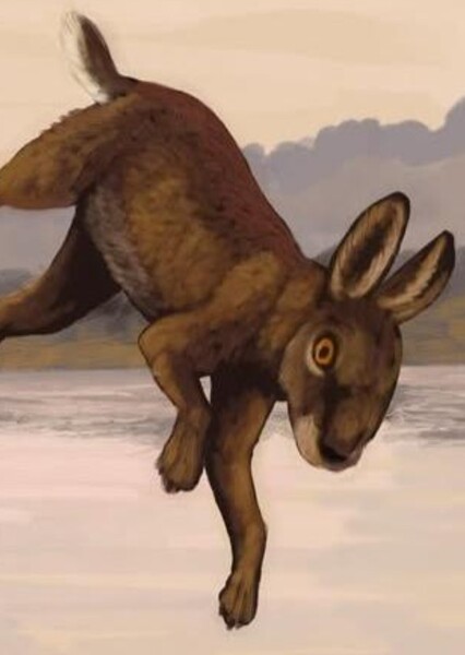 Pachyrukhos