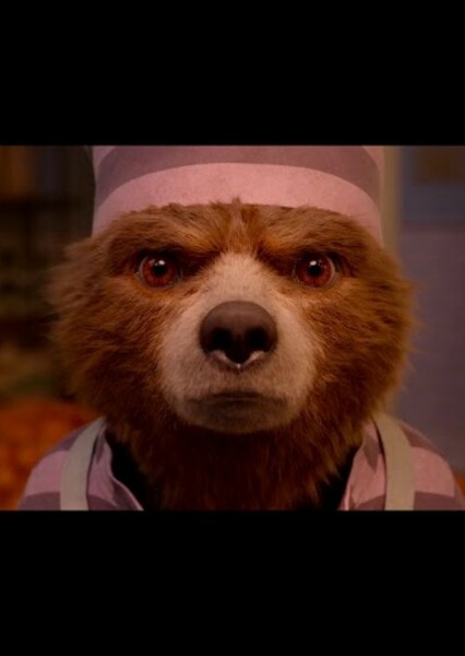 Paddington Bear photo