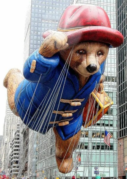 Paddington Bear photo