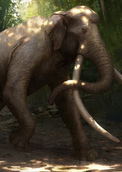 Palaeoloxodon
