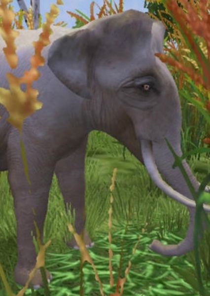 Palaeoloxodon falconeri photo