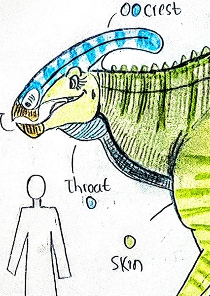 Pamela the Parasaurolophus photo