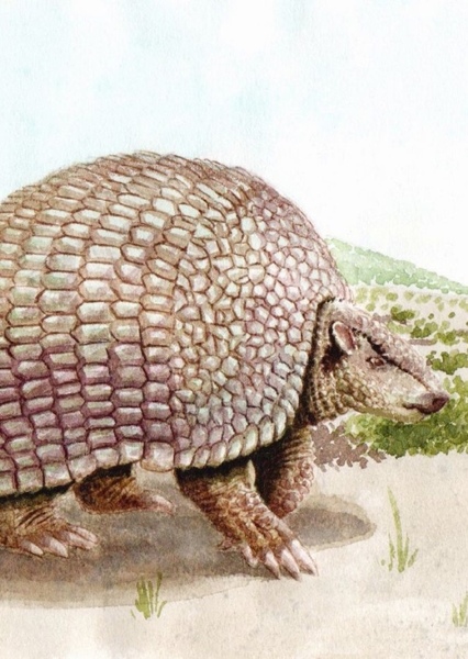 Pampatheriidae