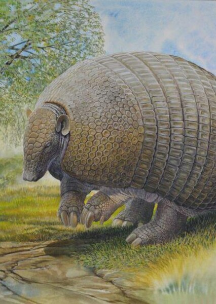 Pampatherium