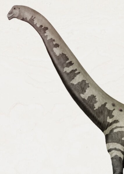 Panamericansaurus