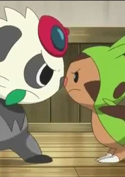 Pancham vs. Chespin