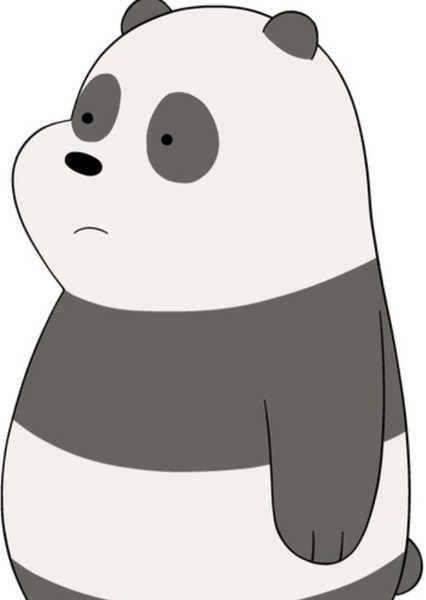 Panda photo
