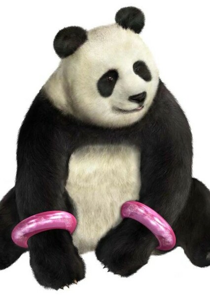 Panda (Tekken) photo