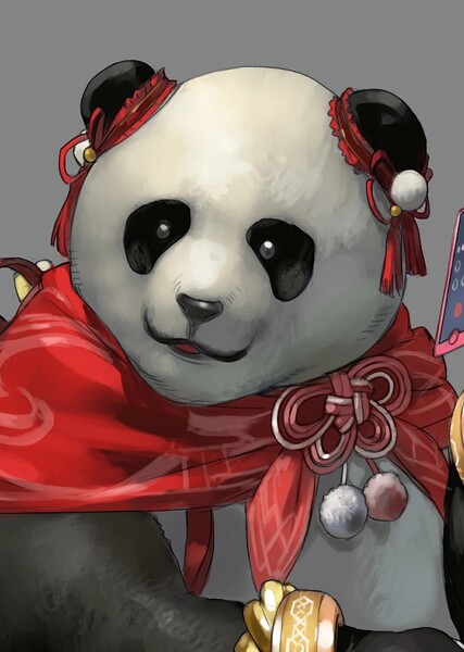 Panda (Tekken) photo