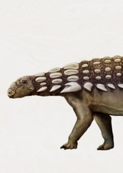 Panoplosaurus