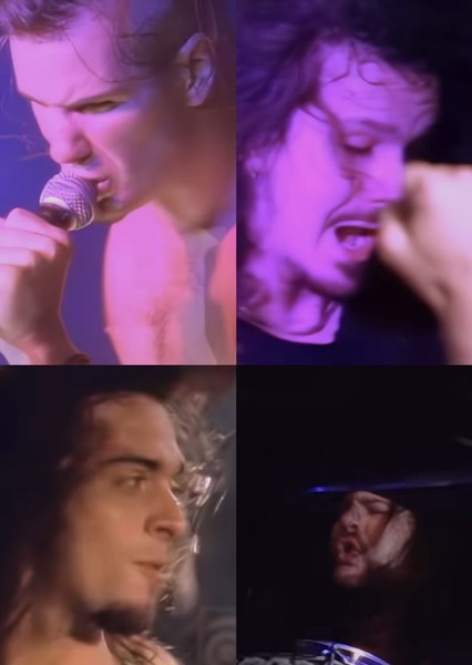 Pantera photo